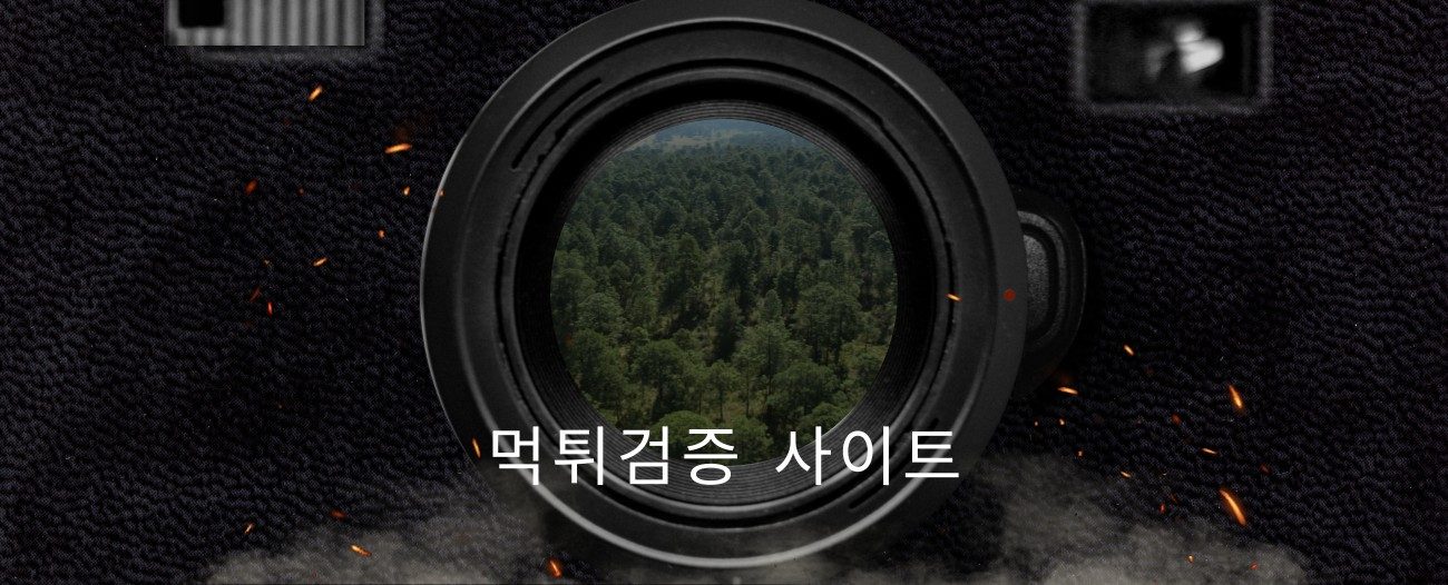 먹튀검증 사이트